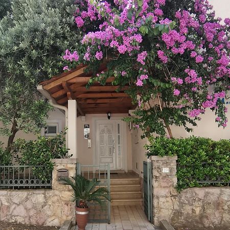 Apartments Maris Petrovac Buitenkant foto