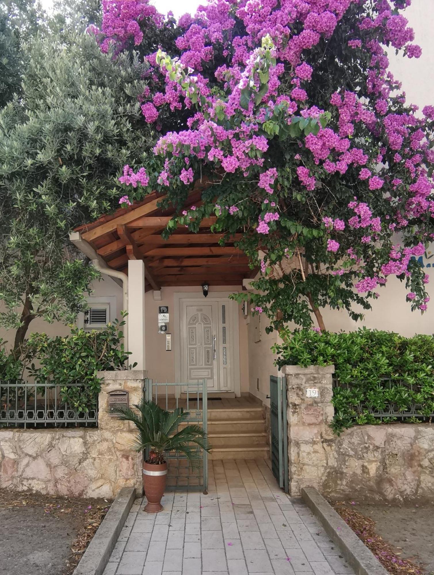 Apartments Maris Petrovac Buitenkant foto