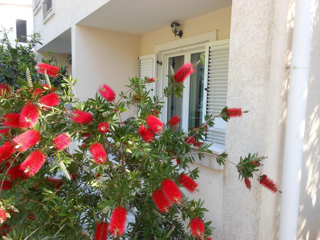 Apartments Maris Petrovac Kamer foto